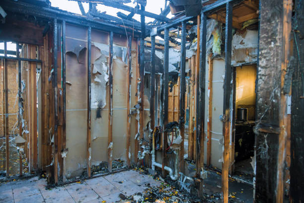 Professional Fire Damage Removal technician working in Sunray, TX